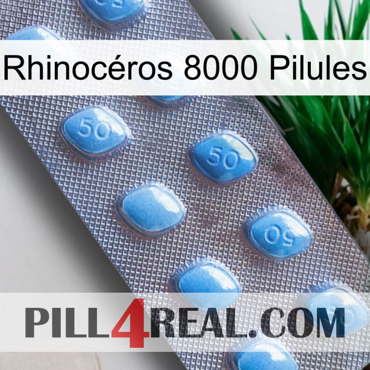 Rhinocéros 8000 Pilules viagra3
